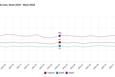 TÜİK: İşsizlik oranı nisanda yüzde 8,2 oldu