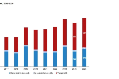 TÜİK: Su ürünleri üretimi 2025 yılında yüzde 11,1 arttı