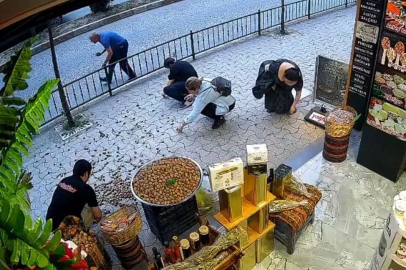 'Sakar' kedinin devirdiği cevizleri hep birlikte topladılar