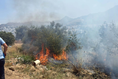 Bodrum’da maki yangınında 1 dekar alan zarar gördü
