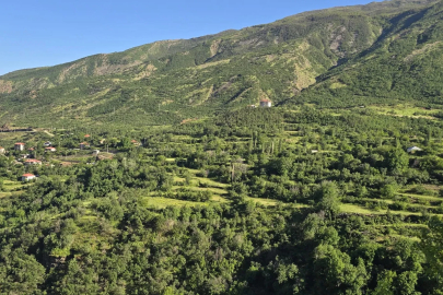 Şırnak'ta ormanlara girişler 30 Eylül'e kadar yasaklandı