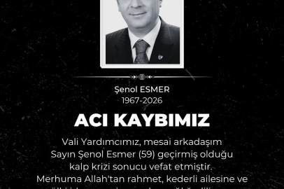 Kayseri Vali Yardımcısı Esmer, hayatını kaybetti
