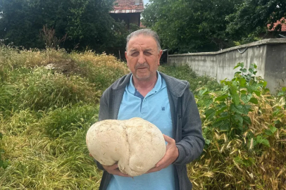 Bahçesinde 3,5 kiloluk mantar buldu
