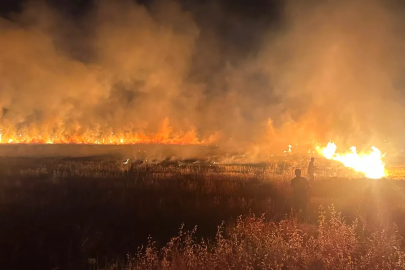 Diyarbakır’da anız yangını; müdahale sürüyor