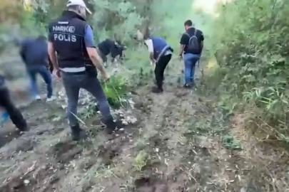 Hevsel Bahçeleri’nde 12 bin 174 kök kenevir ele geçirildi