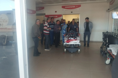 Sivas'ta ayının saldırdığı çoban yaralandı
